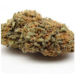 Шишки AK47 (Гидропоника, Бошка) VHQ в Комсомольске-на-Амуре Шишки AK47 (Гидропоника, Бошка) VHQ в Комсомольске-на-Амуре